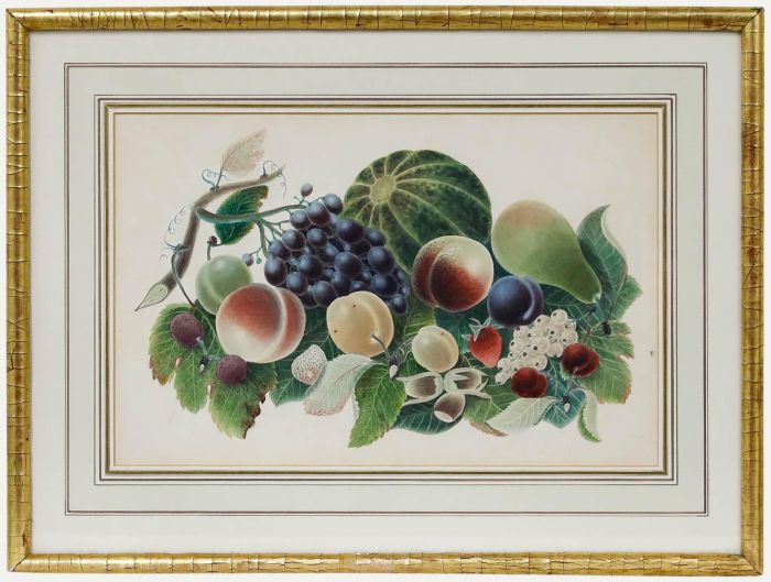Framed 19th Century Watercolour - Study of Fruit