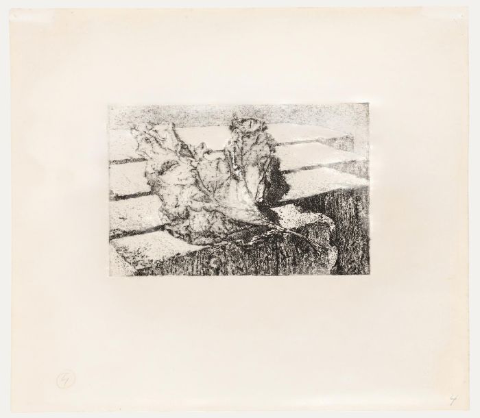 Willem Retera - Mid 20th Century Etching, Old Leaf