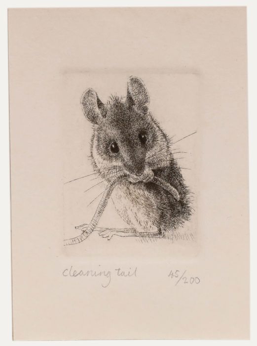 Nicholas Verrall - 20th Century Etching, Cleaning Tail