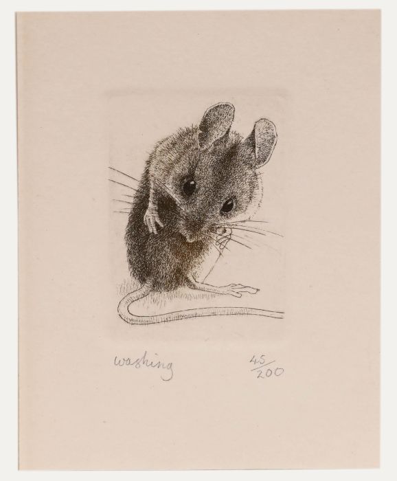 Nicholas Verrall - 20th Century Etching, Washing