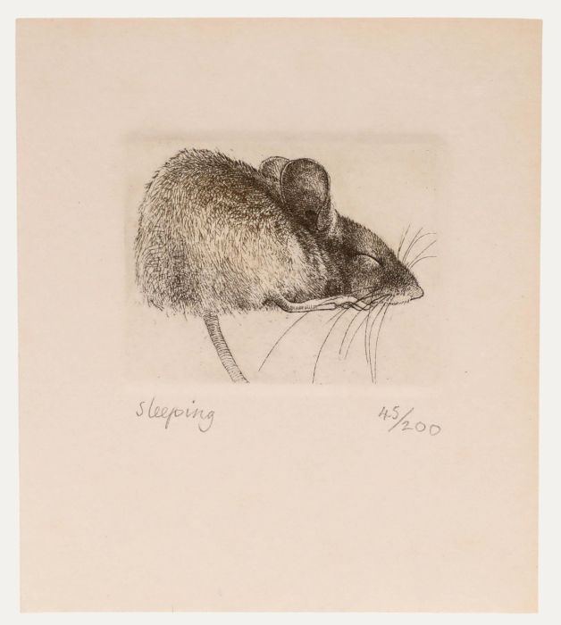 Nicholas Verrall - 20th Century Etching, Sleeping