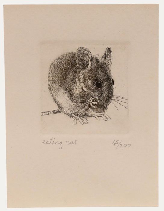 Nicholas Verrall - 20th Century Etching, Eating Nut
