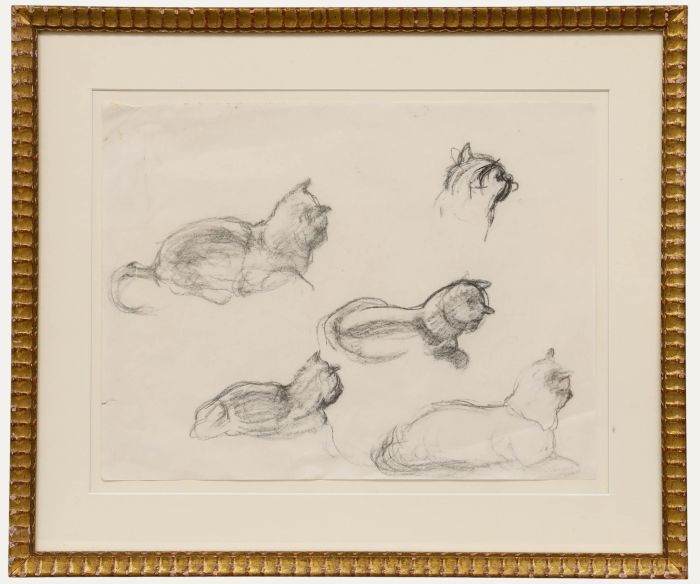 Mid 20th Century Graphite Drawing - Cat Studies