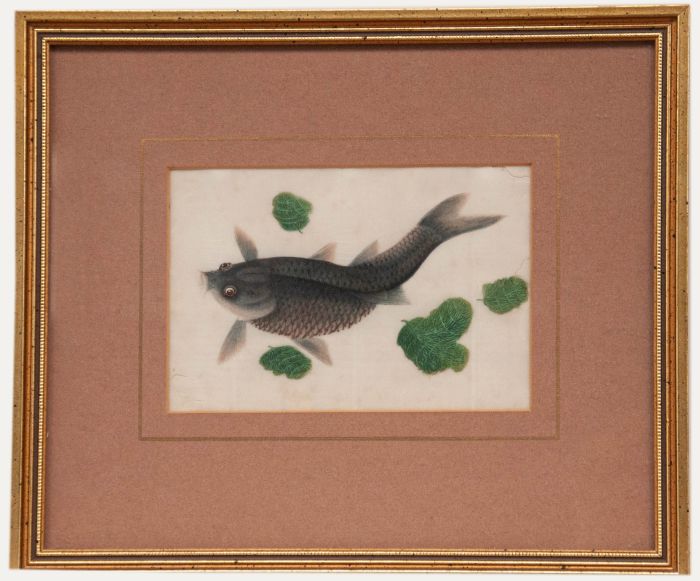 Chinese School 19th Century Watercolour - Grey Carp