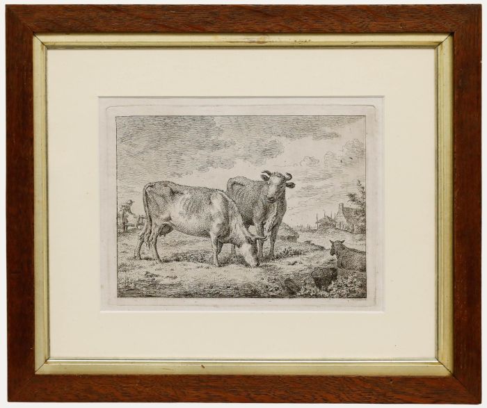 Cornelis van Noorde - 18th Century Etching, Grazing Cattle