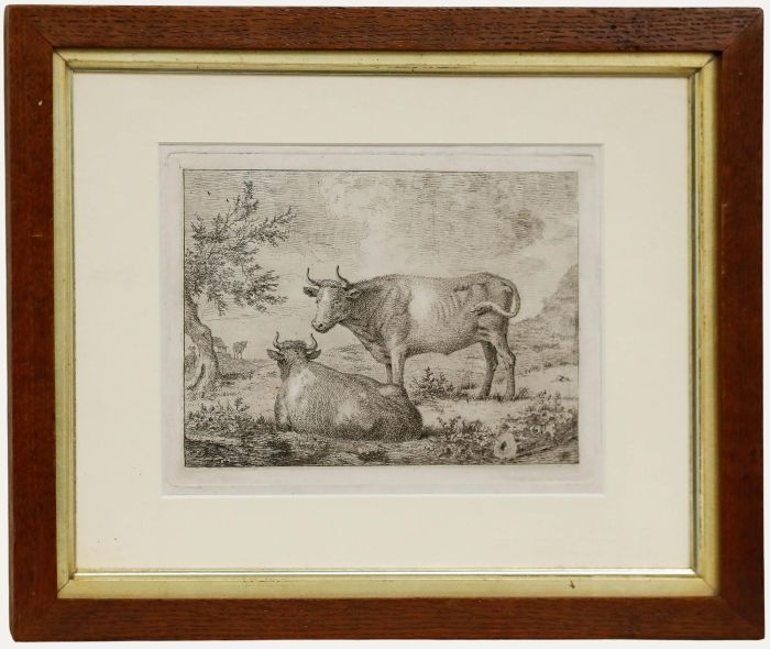 Cornelis van Noorde - 18th Century Etching, Cattle in a Landscape