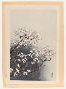 After Eiichi Kotozuka - Mid 20th Century Japanese Woodblock, Japanese Blossoms