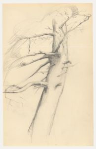 Attrib. John Cluysenaar (1899-1986) - Graphite Drawing, Study of a Tree