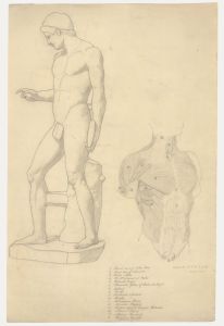 William Henry Ladd - Early 20th Century Graphite Drawing, Muscles of the Torso