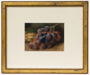 T. Strudwick - Framed Late 19th Century Watercolour, Still Life of Grapes