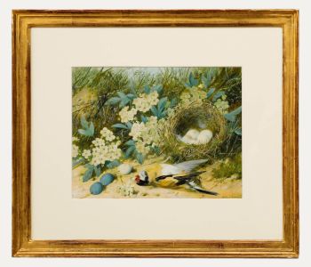 William Cruikshank (1848-1922) - Late 19th Century Watercolour, Goldfinch Nest