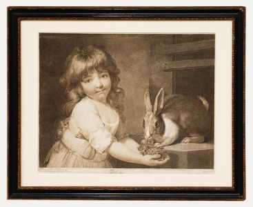 Charles Knight after John Russell RA (1745-1806) - Engraving, The Rabbit