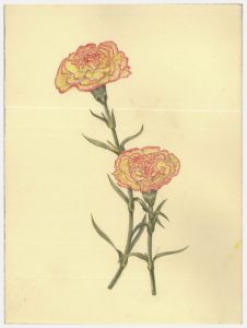 Kathleen Moyra Bellis - 20th Century Watercolour, Carnation
