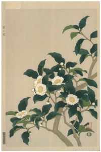 Nisaburo Ito (1910-1988) - Mid 20th Century Japanese Woodblock, Tea Tree Blossom
