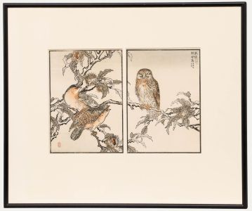 Kōno Bairei (1844-1895) - Late 19th Century Japanese Woodblock, Bairei's Owls