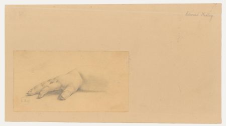 Edward Ridley (1883-1946) - Graphite Drawing, Study of an Infant's Hand IIII