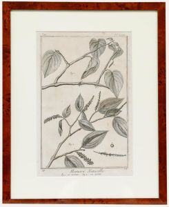 Robert Béenard (1734-1794) - 18th Century Engraving, Le Pivre & Le Betel