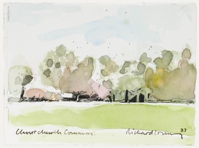 Richard J.S. Young - 2023 Watercolour, Christ Church Common