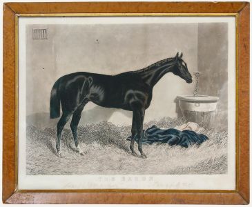 C. Hunt (1803-1877) after J.F. Herring (1795-1865) - Aquatint, The Baron
