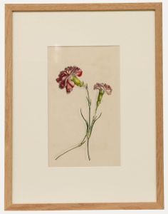 Ms Taylor - Early 19th Century Watercolour, Carnations