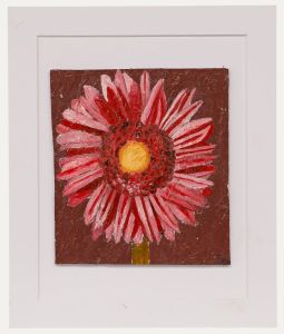 Ben Carrivick - Contemporary Oil, Echinacea