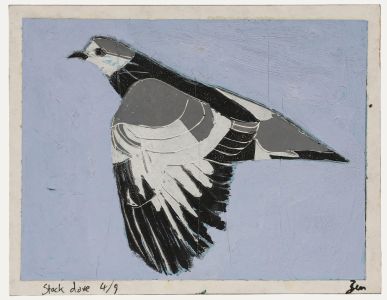 Ben Carrivick - Contemporary Linoprint, Stock Dove