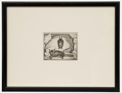 Georges Cuvier (1769-1832) - Early 19th Century Engraving, A Pair of Bats