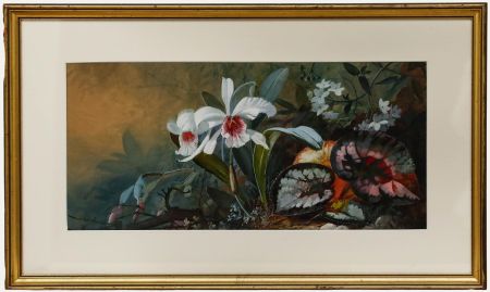 Anthony Connelly - Framed Early 20th Century Watercolour, Flowers & Foliage