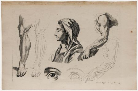 Jeremias Wolff (1667-1724) - 18th Century Engraving, Anatomical Study 4.