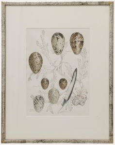 Mary Grierson - 20th Century Watercolour, Seabirds' Eggs