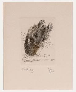 Nicholas Verrall - 20th Century Etching, Washing