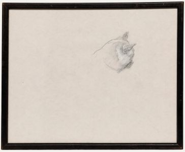 Mid 20th Century Graphite Drawing - Cat's Head