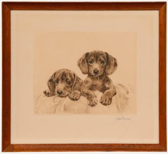 Kurt Meyer-Eberhardt - Early 20th Century Etching, Dachshund Puppies