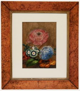 19th Century Watercolour - Botanical Study