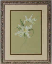 Mid 20th Century Watercolour - Floral Study