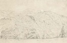 19th Century Pen and Ink Drawing
