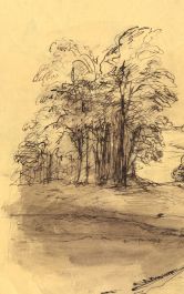 Hans Krappmann - Early 20th Century Pen and Ink Drawing, Trees