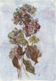 Kate Fielding Kate Fielding - Set of 4 Mid 20th Century Watercolours