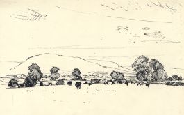 Paul Sharp - Mid 20th Century Pen and Ink Drawing, Cattle Grazing
