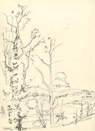 Paul Sharp - Mid 20th Century Pen and Ink Drawing