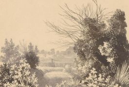 Late 19th Century Pen and Ink Drawing - Byrkley Park