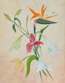 S. T. S - Contemporary Watercolour, Lilies And Bird Of Paradise Flower