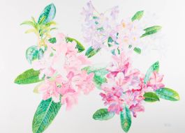 John Ivor Stewart PPPS (1936-2018) - Contemporary Watercolour, Flowering Laurel