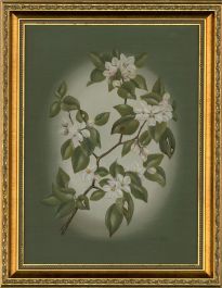 Lesley Hammett (b.1955) - 20th Century Oil, White Flowers