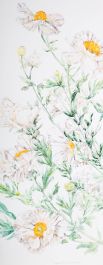Sylvia E. Churchward-Wade - Contemporary Watercolour, California Poppies