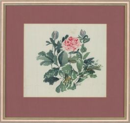M.B. - 1995 Watercolour, Ranunculus