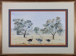 Cavin Staff - 20th Century Watercolour, A Flock of Ostriches