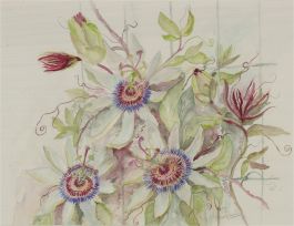 Patti Harford - Signed Contemporary Watercolour, Passion Flower