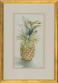 Bella-Ann Hood - 1996 Watercolour, Pineapple