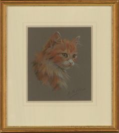 Heinrich Stoltz (b.1900) - 20th Century Pastel, Ginger Kitten